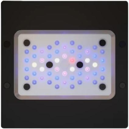 Ecotech Marine Radion XR 15 G6 Blue | Meerwasser LED Leuchte | höherer Blauanteil