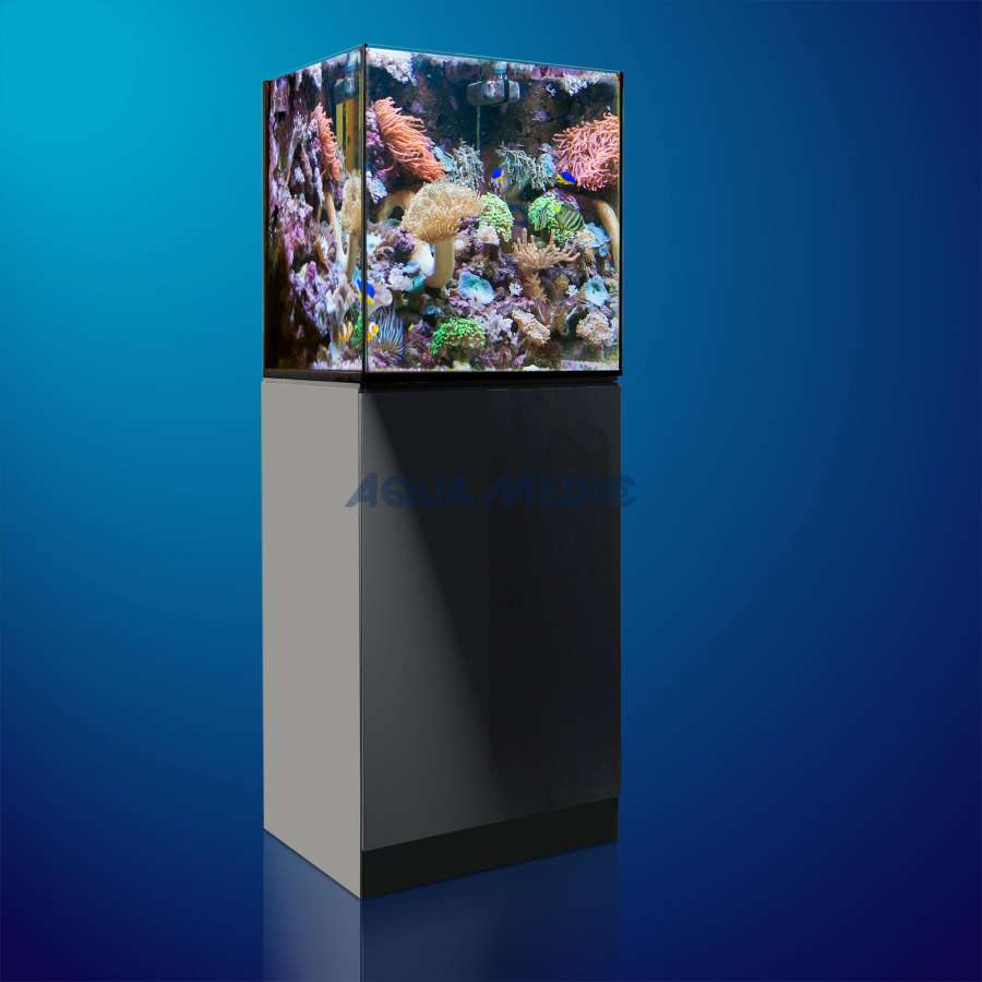 Aqua Medic Xenia 65 Meerwasseraquarium komplett