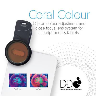 D-D Coral Lense XL - Linse für Smartphone