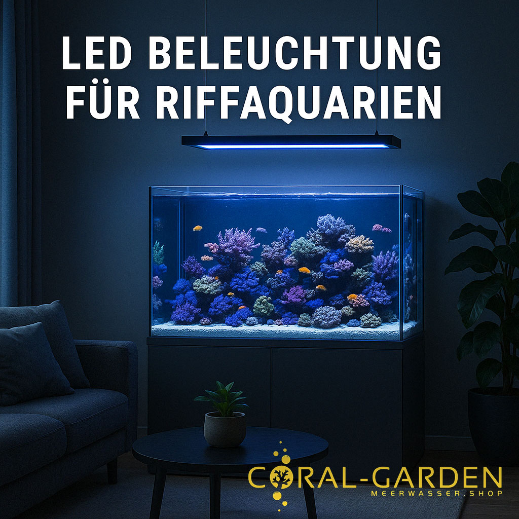 Kategoriebild-Aqua-Medic-LED-Beleuchtung (ki)