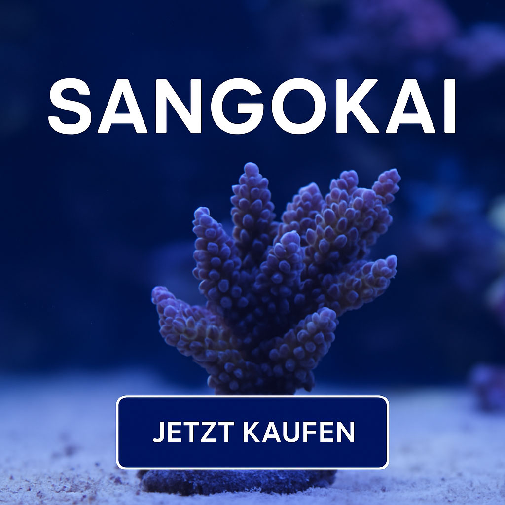 Kategoriebild Sangokai Produkte