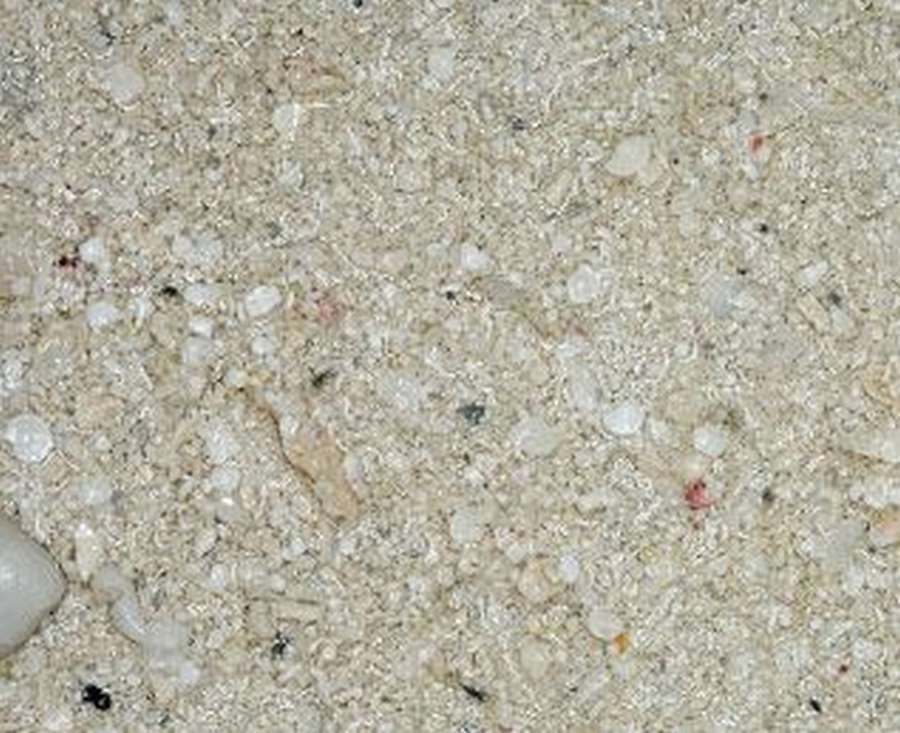 CaribSea Ocean Direct oolite |Livesand extra fein