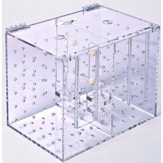 Eingewöhnungsbox mit 2 Kammern