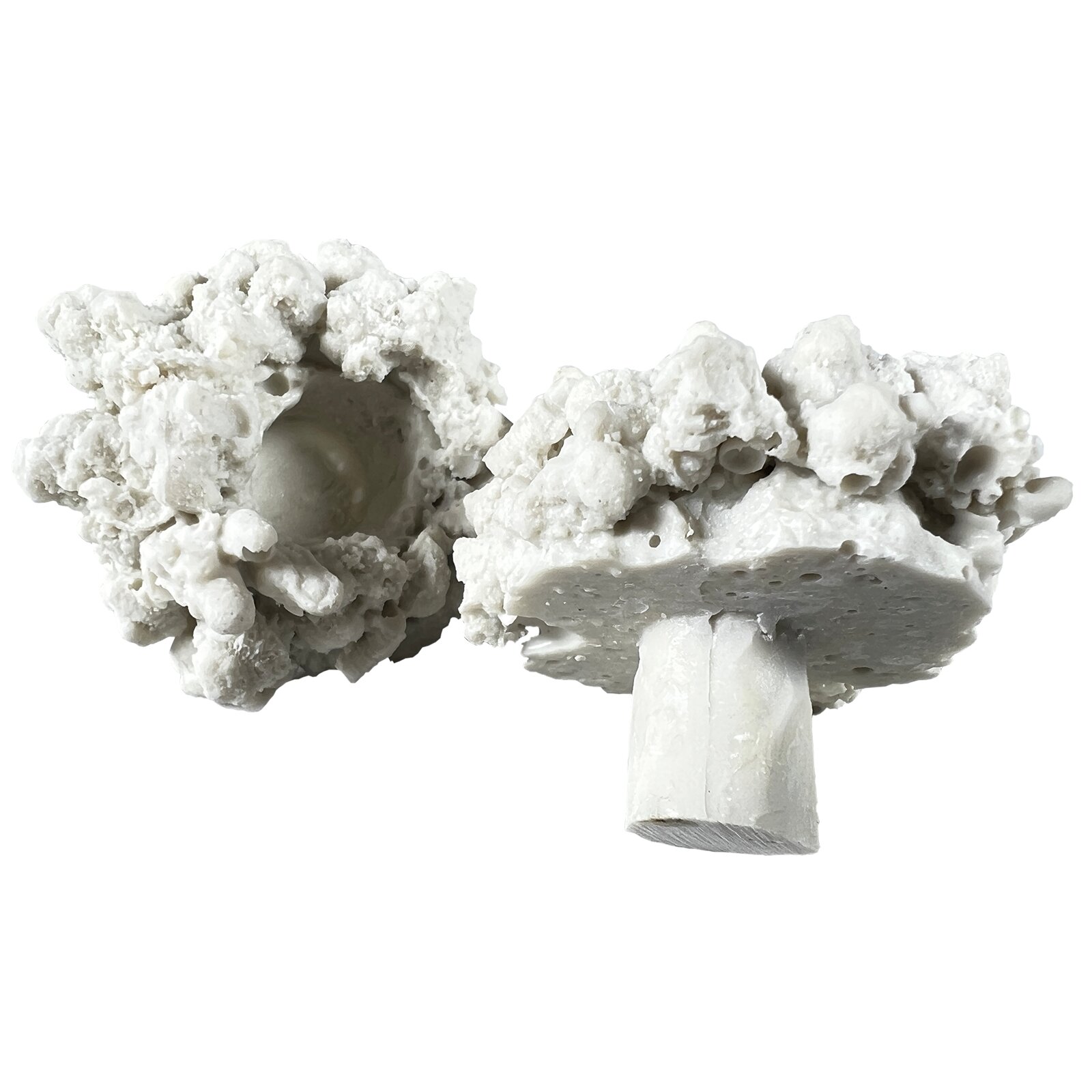 Aqua-Medic Coral Pins 10 St. Ablegersteine