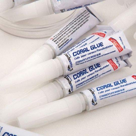 Maxspect Coral Glue 20x5 g Korallenkleber
