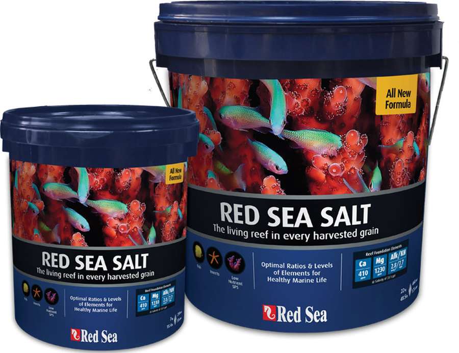 Red Sea Meersalz 22 kg Eimer