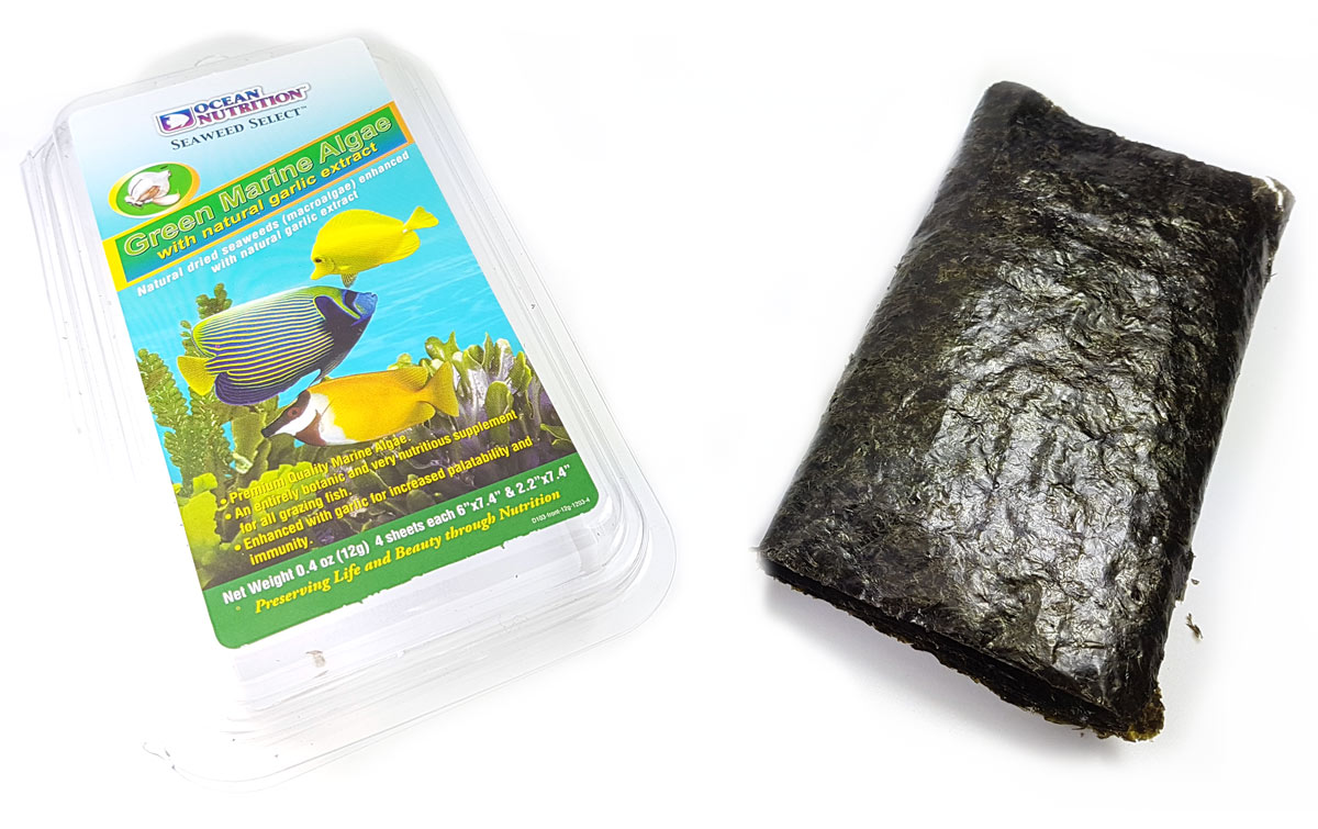 Ocean Nutrition Futteralgen