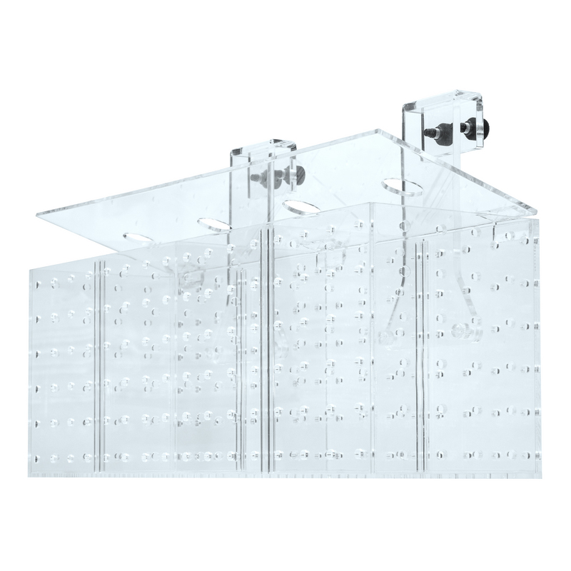Grotech Akklimatisierungsbox 2-Kammern