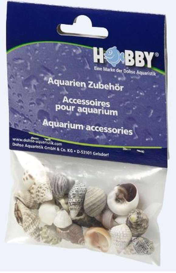 Hobby Sea Shells Set S (Schneckenhäuser 20 St.)