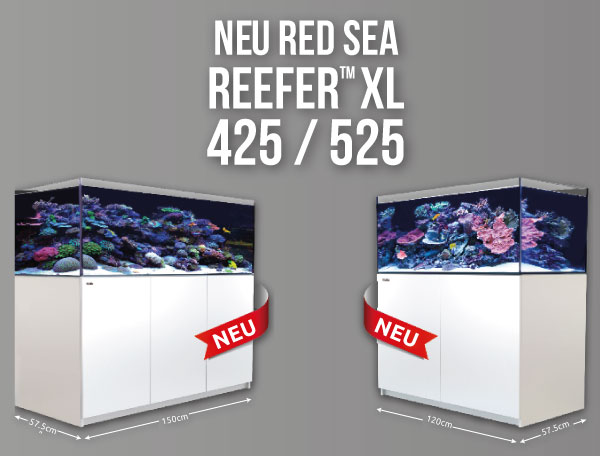 Red Sea REEFER XL Meeresaquarium