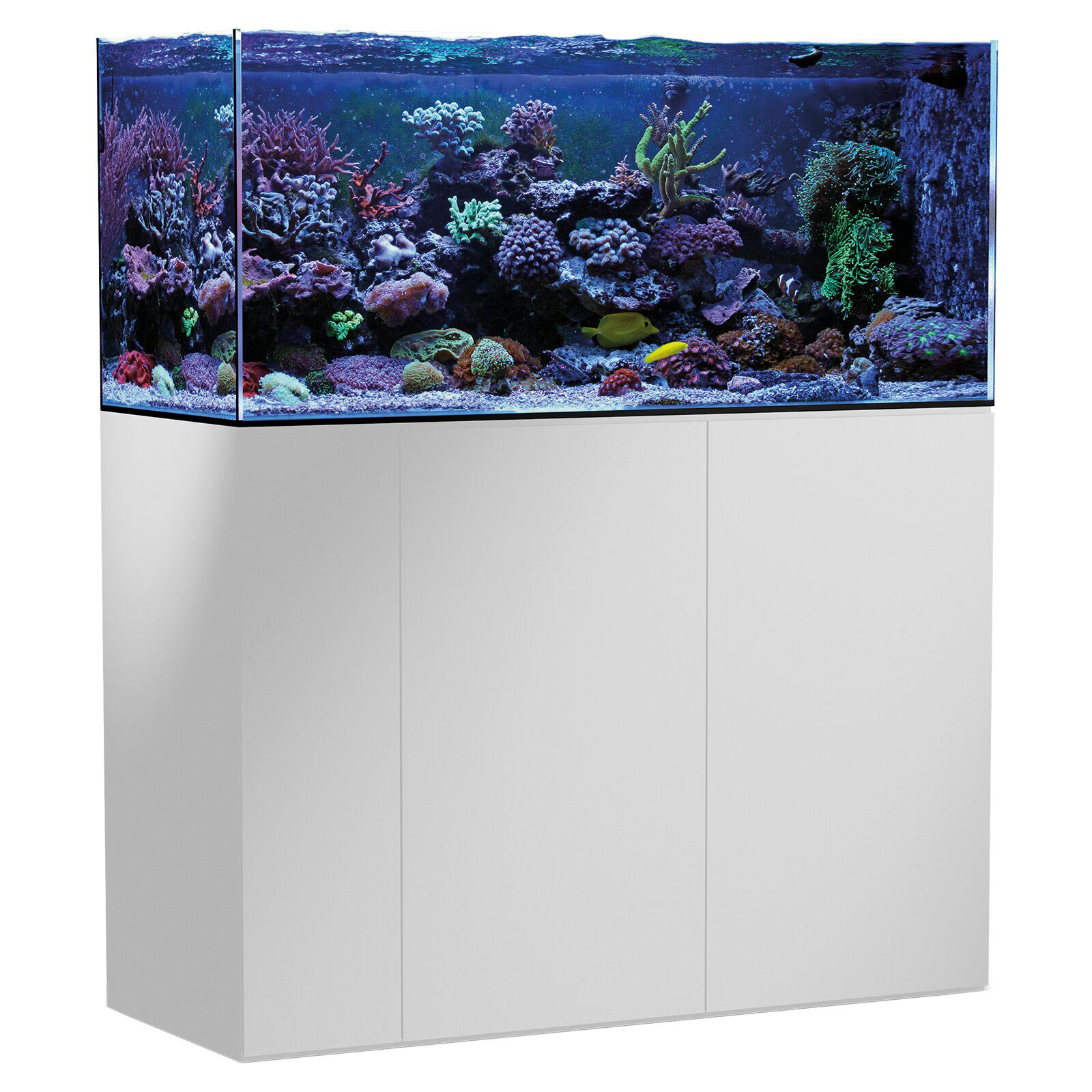 Bild Meerwasseraquarium Aqua Medic Armatus