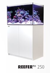 Red Sea Reefer Meerwasseraquarium Komplett