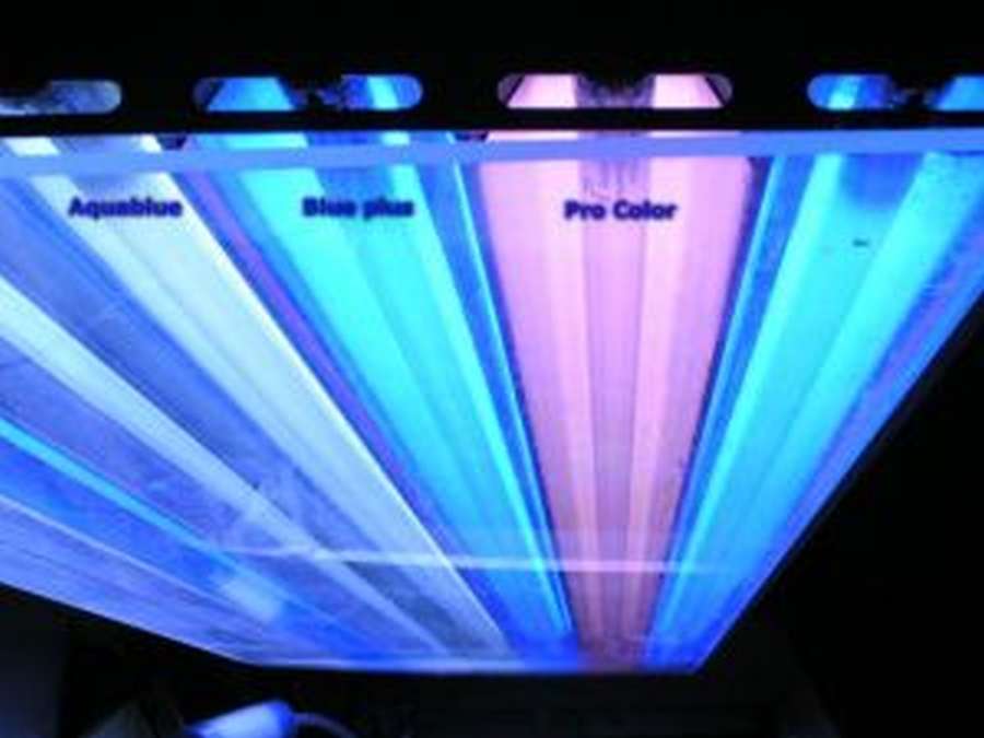 ATI T5 Leuchtstoffröhre Blue plus