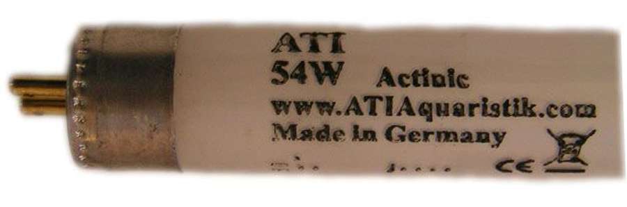 ATI T5 Röhre actinic