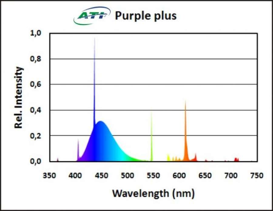 ATI Purple Plus T5 Leuchtstoffröhre