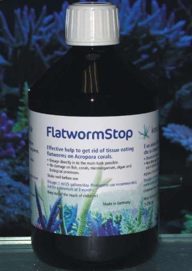Korallenzucht Flatworm Stop