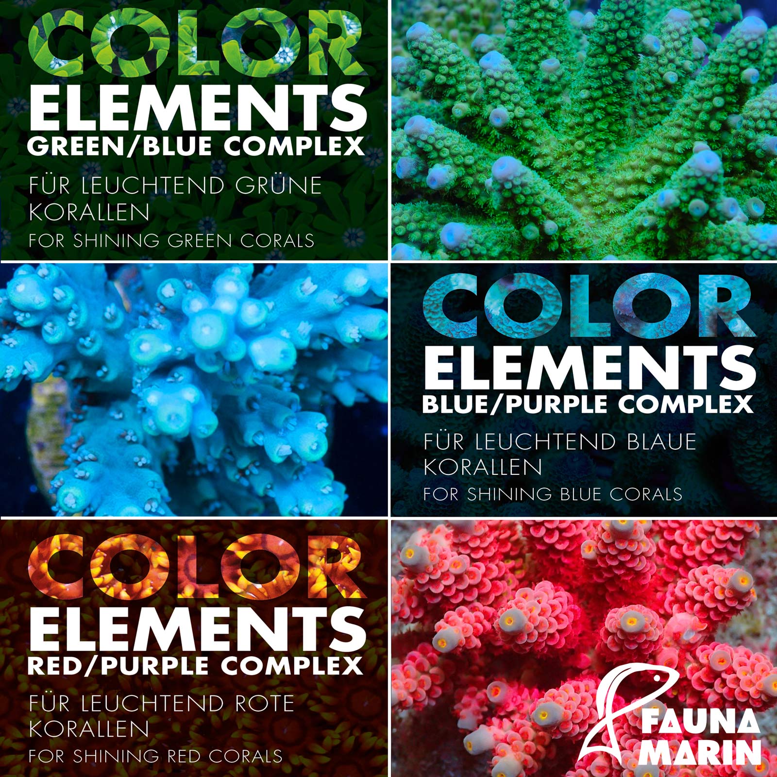 Fauna Marin Color Elements Complex Set 3 x 250 ml