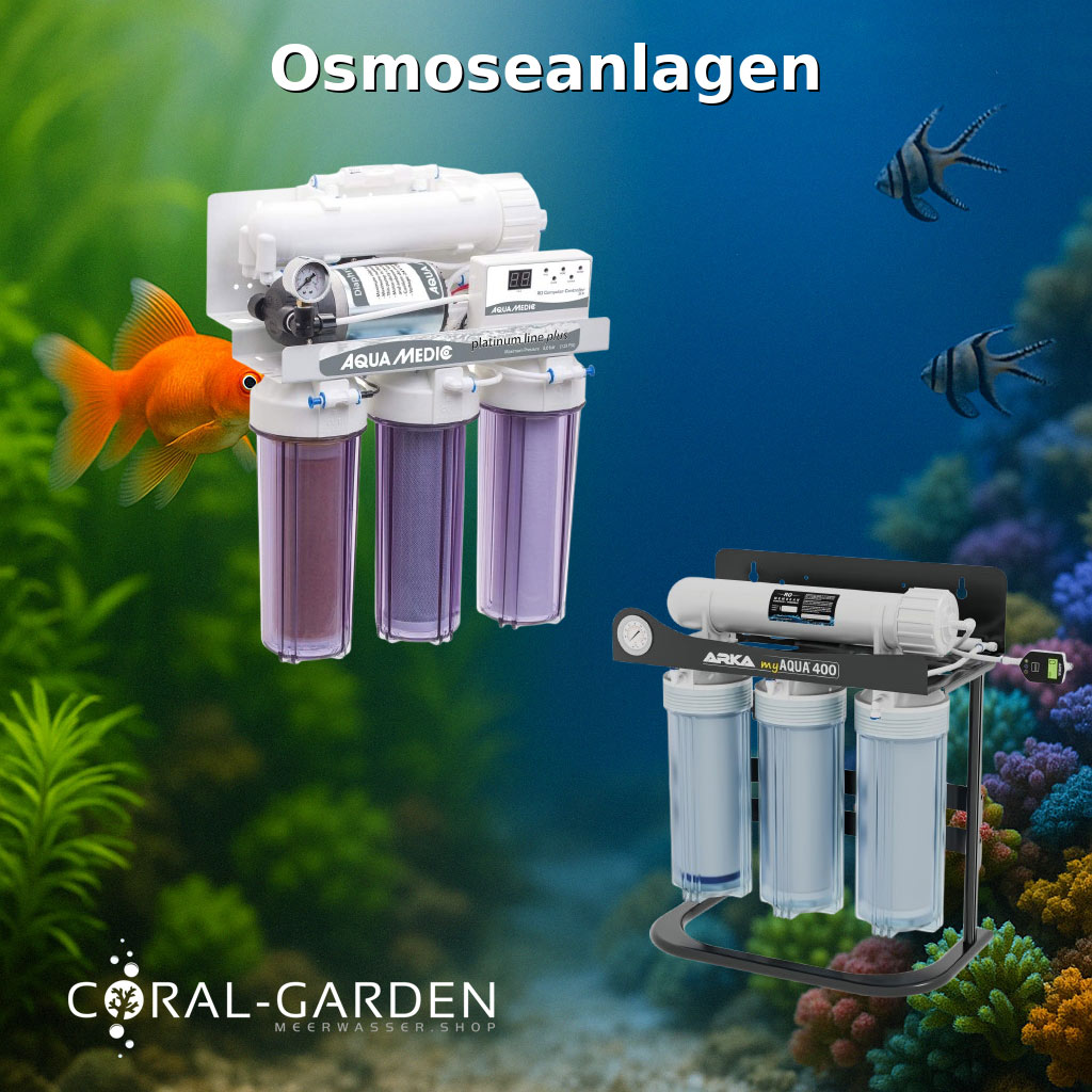 Kategoriebild Osmoseanlagen (ki)