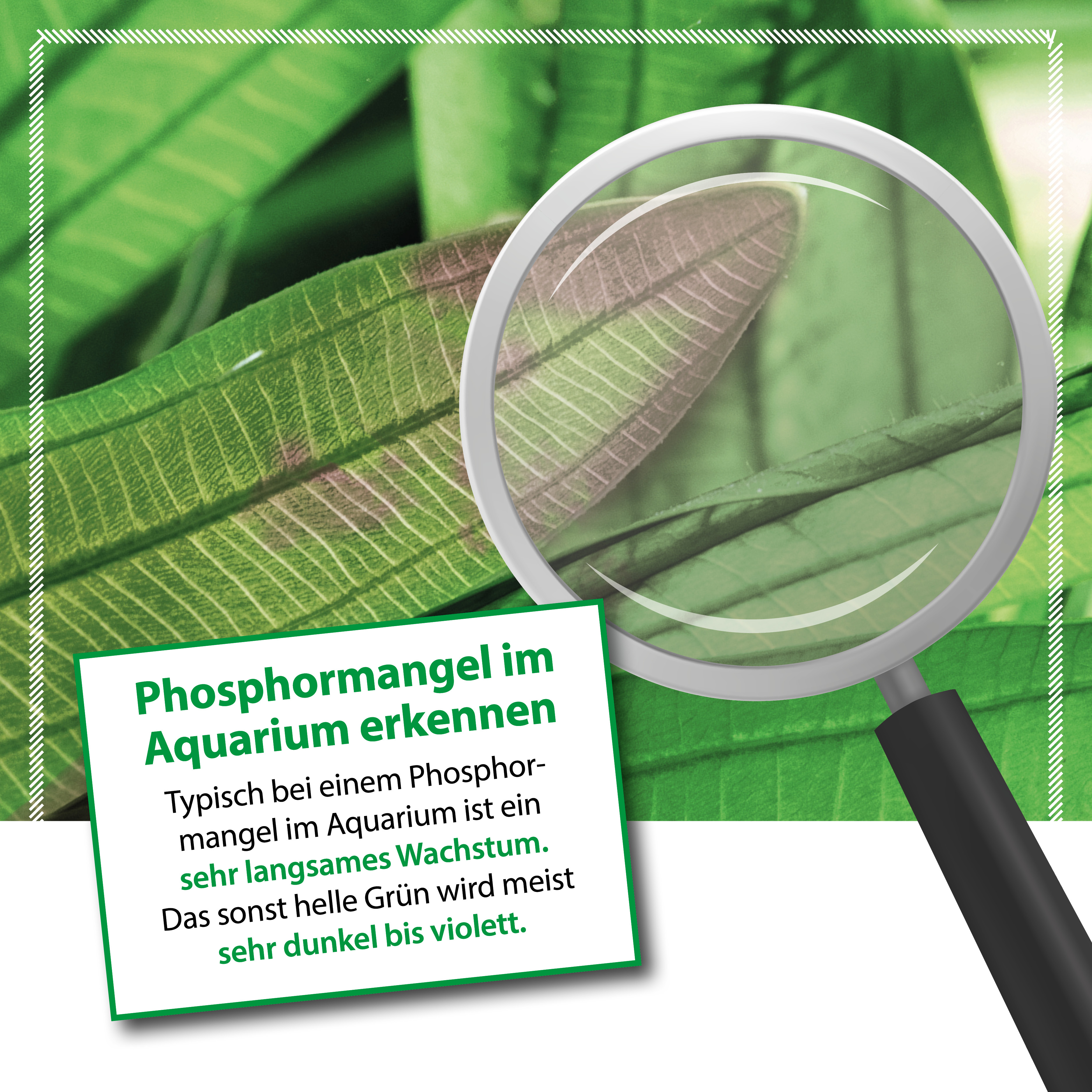 Microbe-Lift Plants P 473 ml
