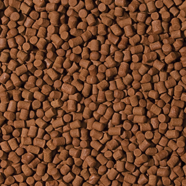 Tropical Sterlet Basic L – Sinkende Granulat-Pellets, Alleinfutter für Stör, Zierkarpfen und Welse