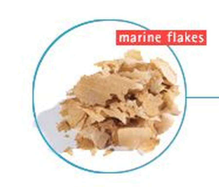Dr. Bassleers fish food regular flakes
