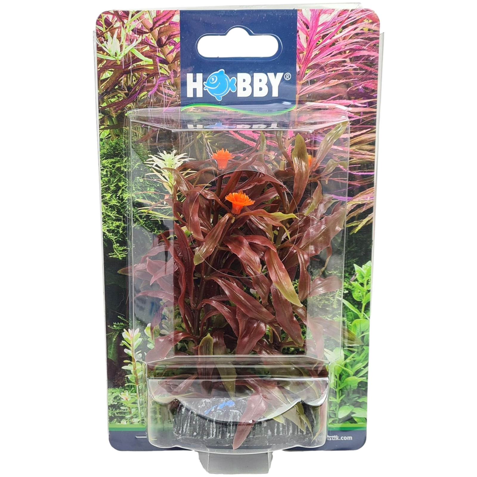Hobby Nesaea 13 cm künstliche Aquariumpflanze