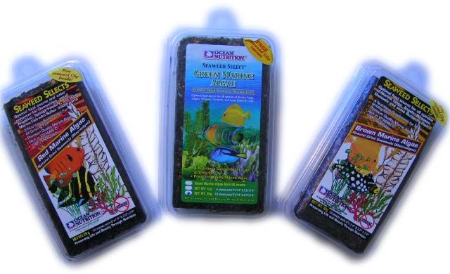 Ocean Nutrition Futteralgen