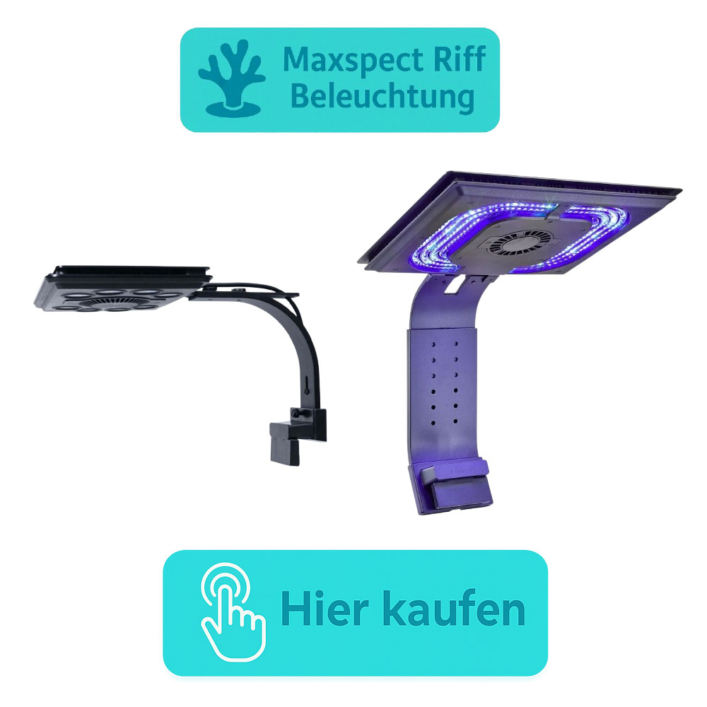 Kategoriebild Maxspect LED Beleuchtung