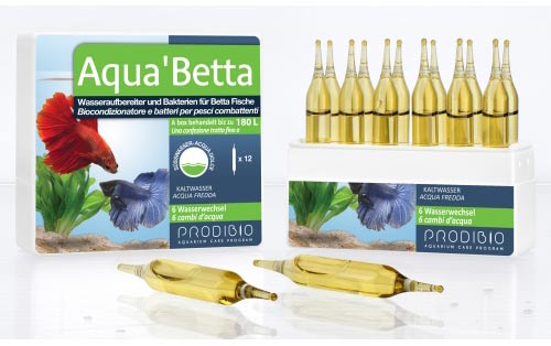 Prodibio Aqua´Betta 12 Ampullen