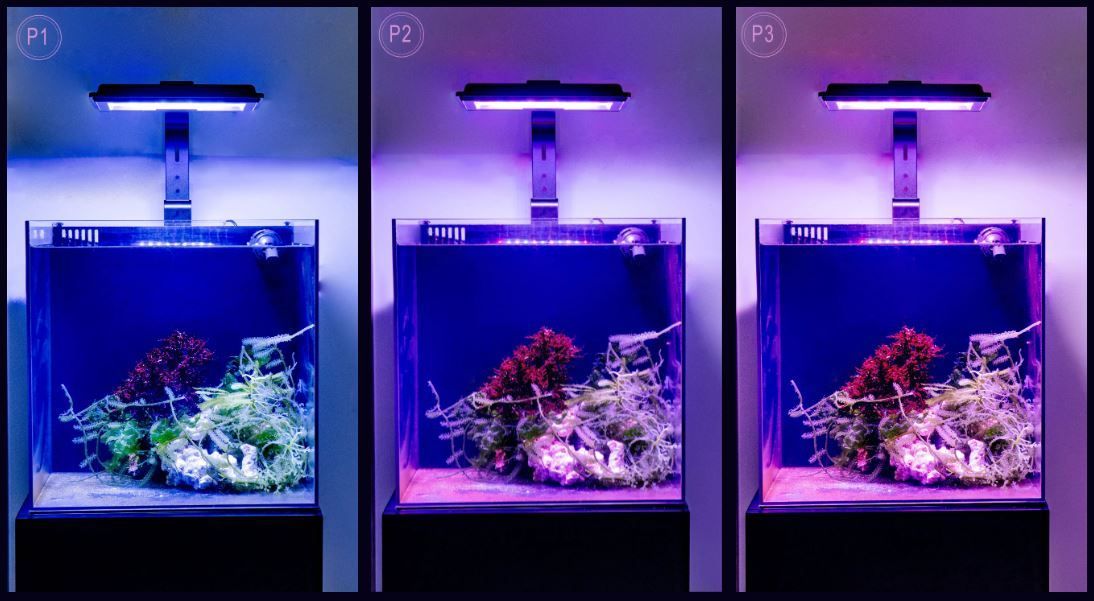 Maxspect Jump MJ-L230 Meerwasser LED Refugium 30 W