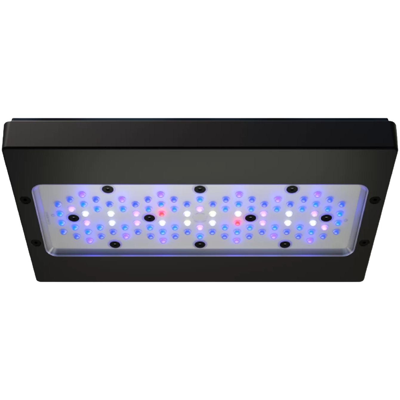 Ecotech Marine Radion XR 30 G6 Blue | Meerwasser LED Leuchte | höherer Blauanteil