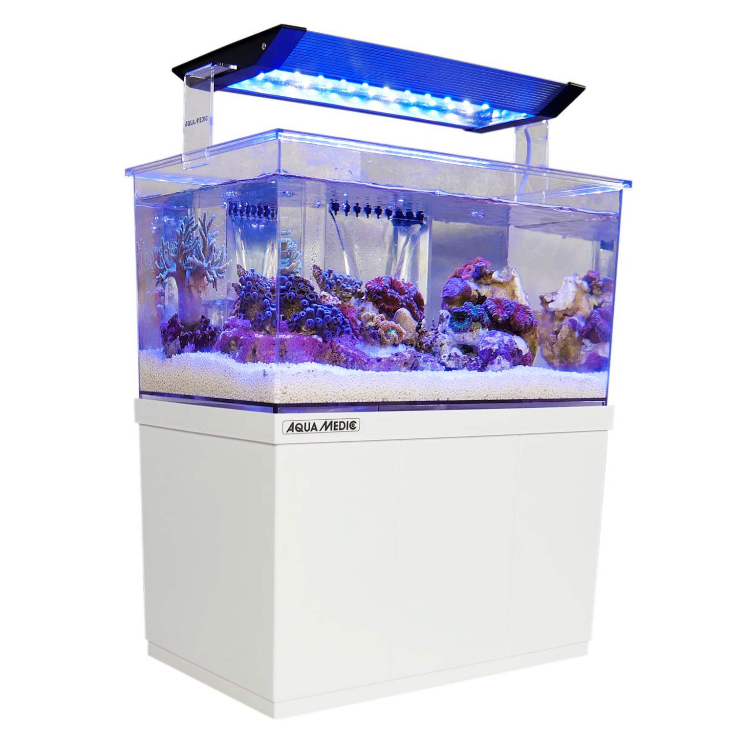 Aqua-Medic Armatus XS | Micro Süss -/ Meerwasser Aquarium 4 L