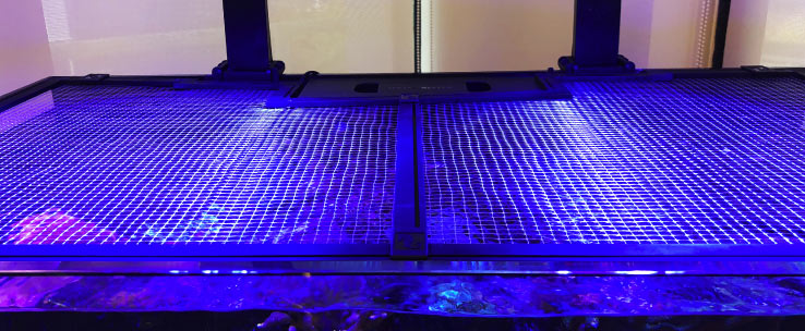 Red Sea Net Cover | DIY Springschutz & Netzabdeckung für Aquarien