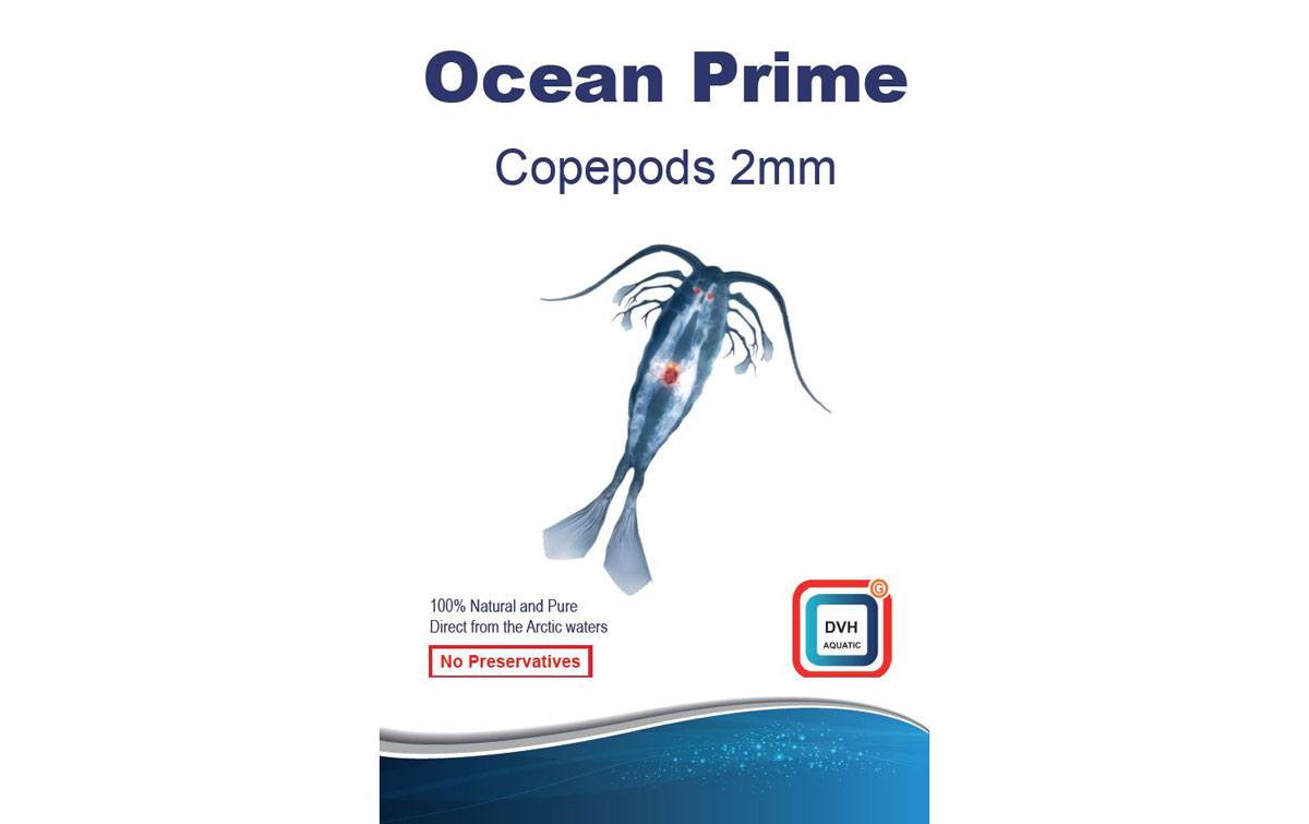 DVH Ocean Prime Copepods 2 mm | Zooplankton