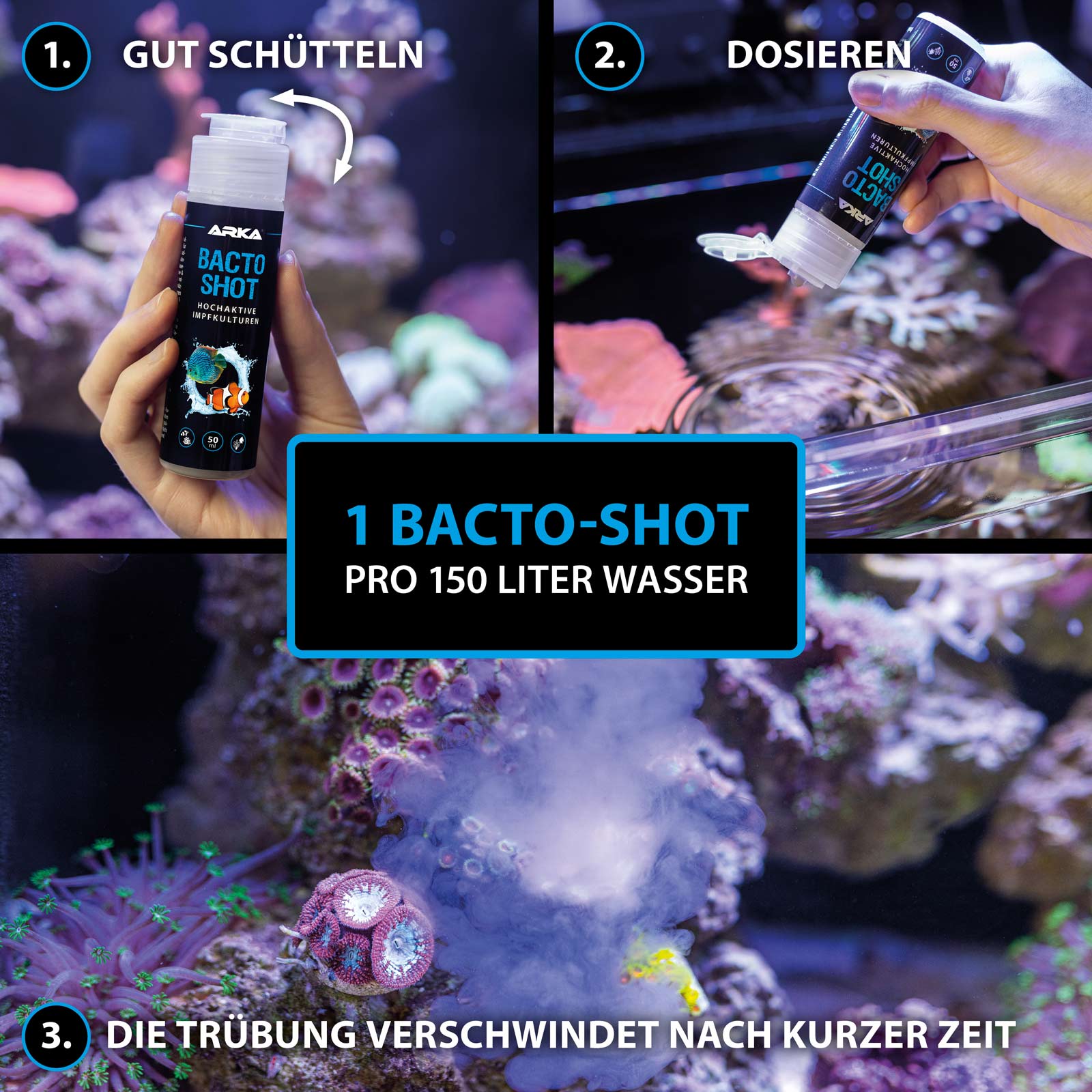 ARKA BACTO-SHOT 50 ml | HOCHAKTIVE IMPFKULTUREN