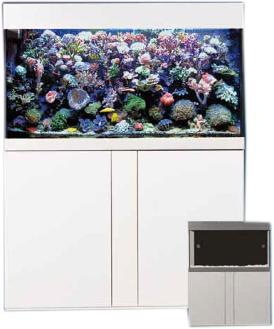 Aqua-Medic Komplettaquarium Magnifica 100 weiß