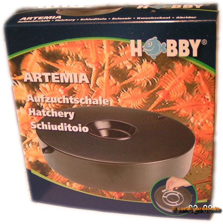 Hobby Artemia Schale