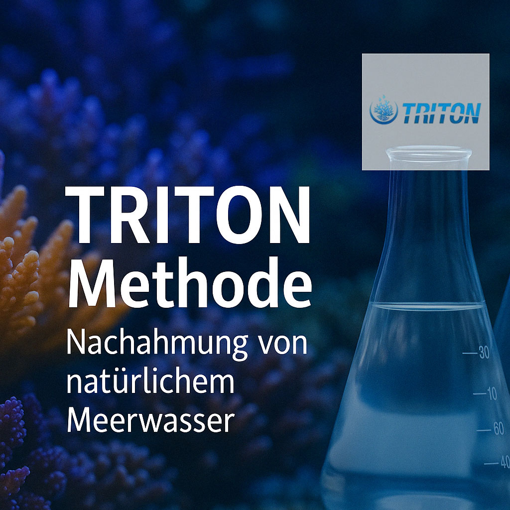 Kategoriebild zur Triton Methode