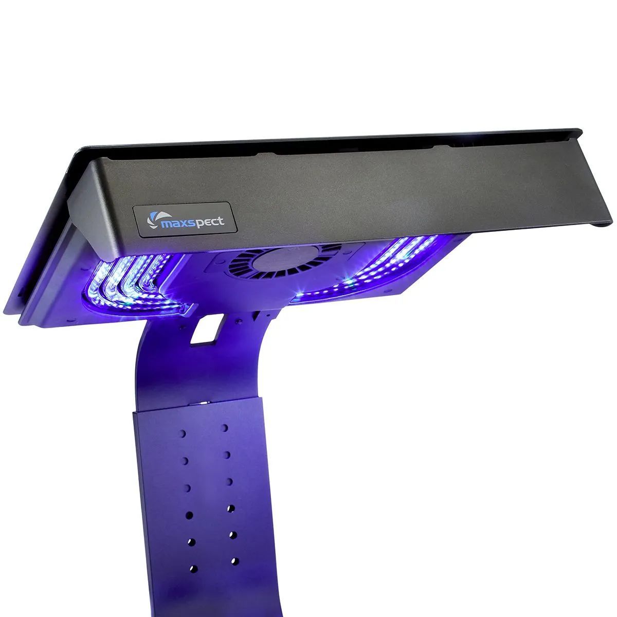Maxspect Ethereal Infinite E8-230W