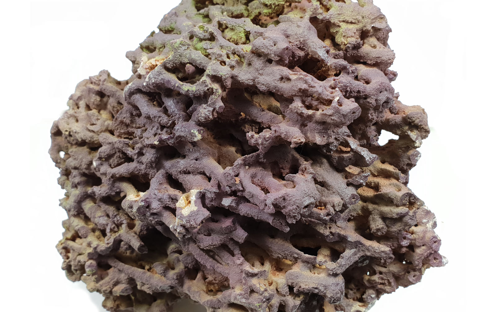 Aquadecor Jurassic Reef-Rock verschiedene Packungsgrößen