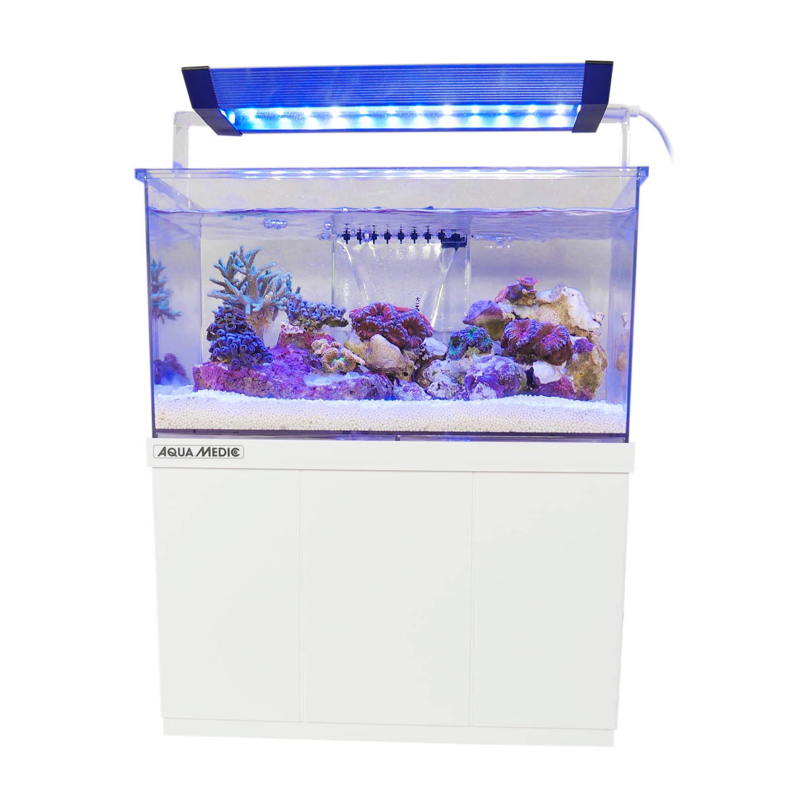 Aqua-Medic Armatus XS | Micro Süss -/ Meerwasser Aquarium 4 L