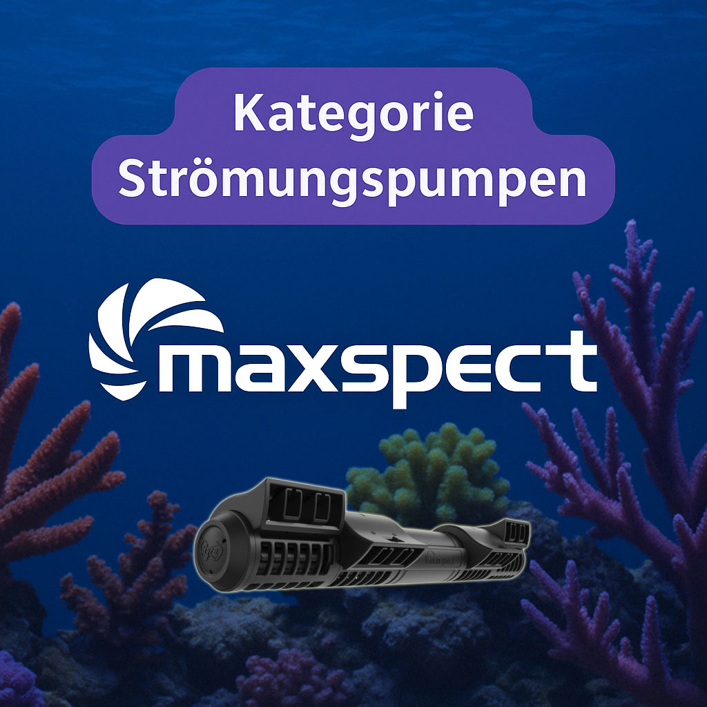 Kategoriebild Maxspect Stroemungspumpen
