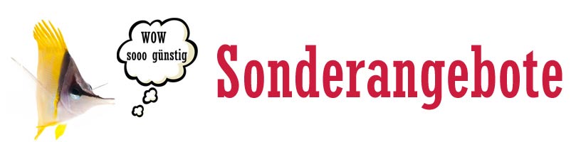Sonderangebote