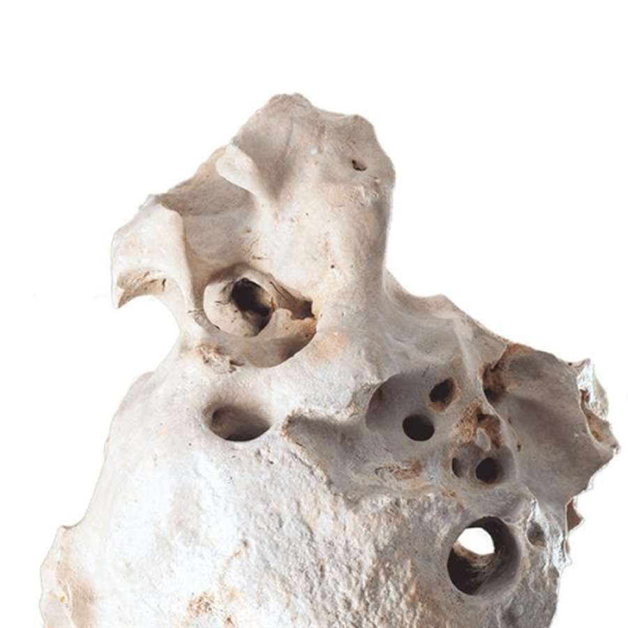 CaribSea Texas Holy Rock 18 kg Box