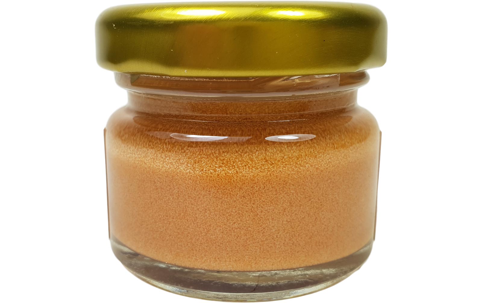 Instant Baby Brine Shrimp 20 g