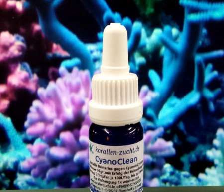 Korallenzucht CyanoClean 50ml