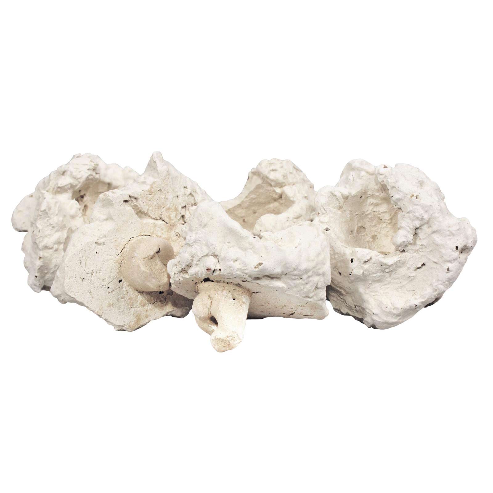 Aqua-Medic Coral Pins 10 St. Ablegersteine